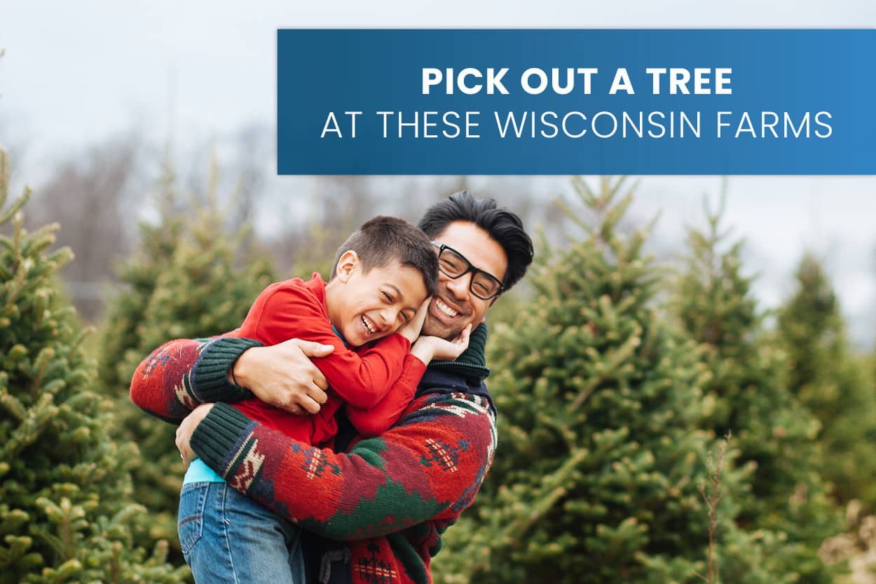 Wisconsin Tree Farms