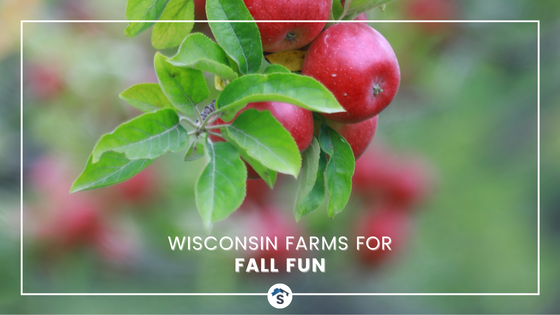 Wisconsin Farms