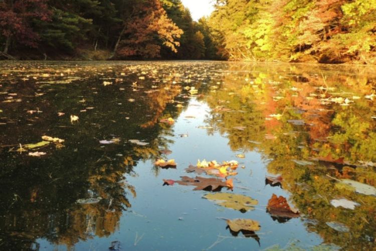 Wisconsin Dells, WI Realtors and Homes for Sale